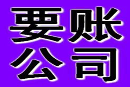 遭强制执行无债主可寻，资金偿还难题如何破解？